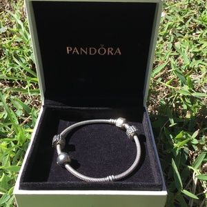 Great for that special TEACHER! Pandora bracelet with 2 clips and 1 charm